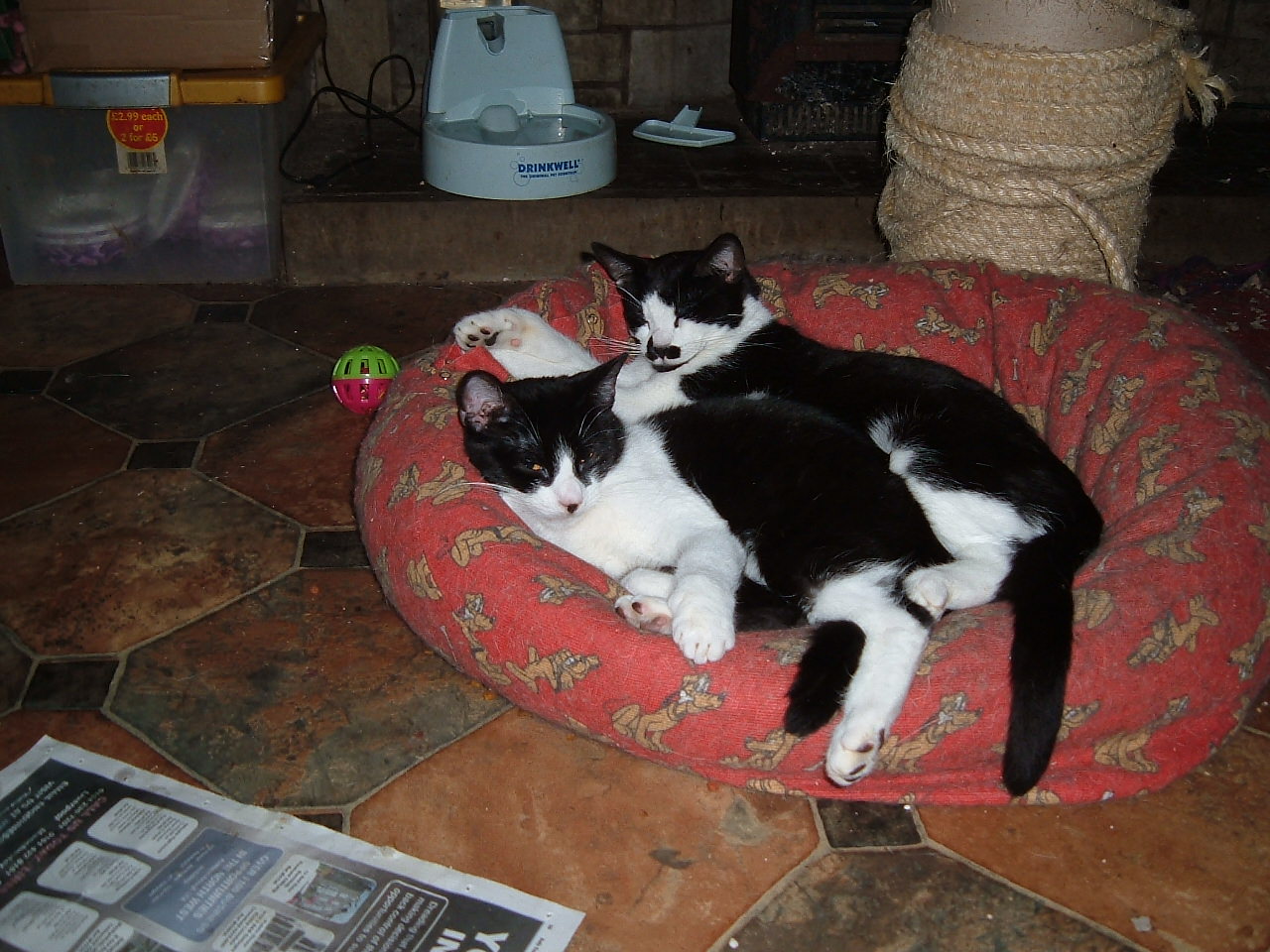Bill and Ben beginning to wake up