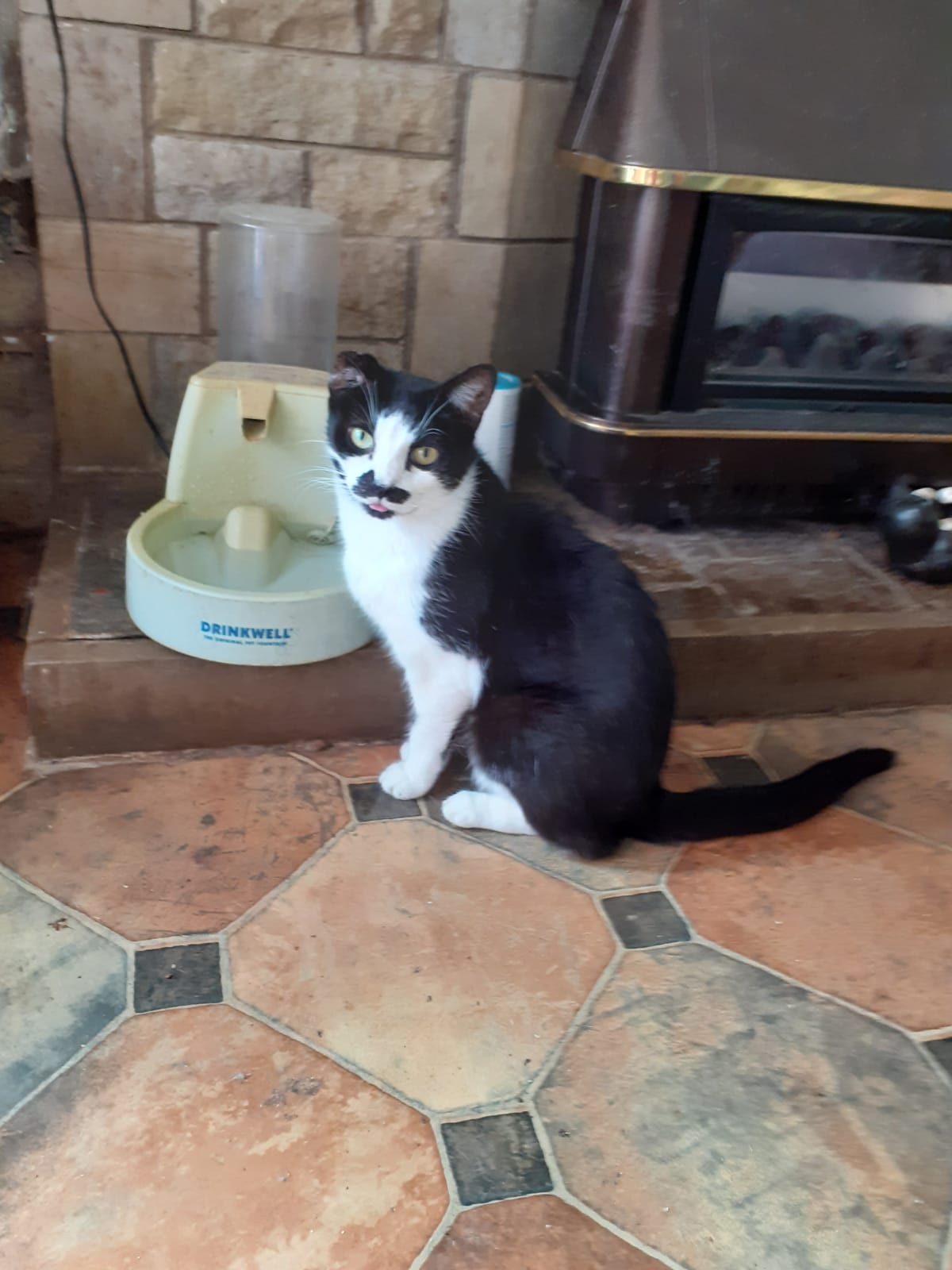 Bill by the drinking fountain