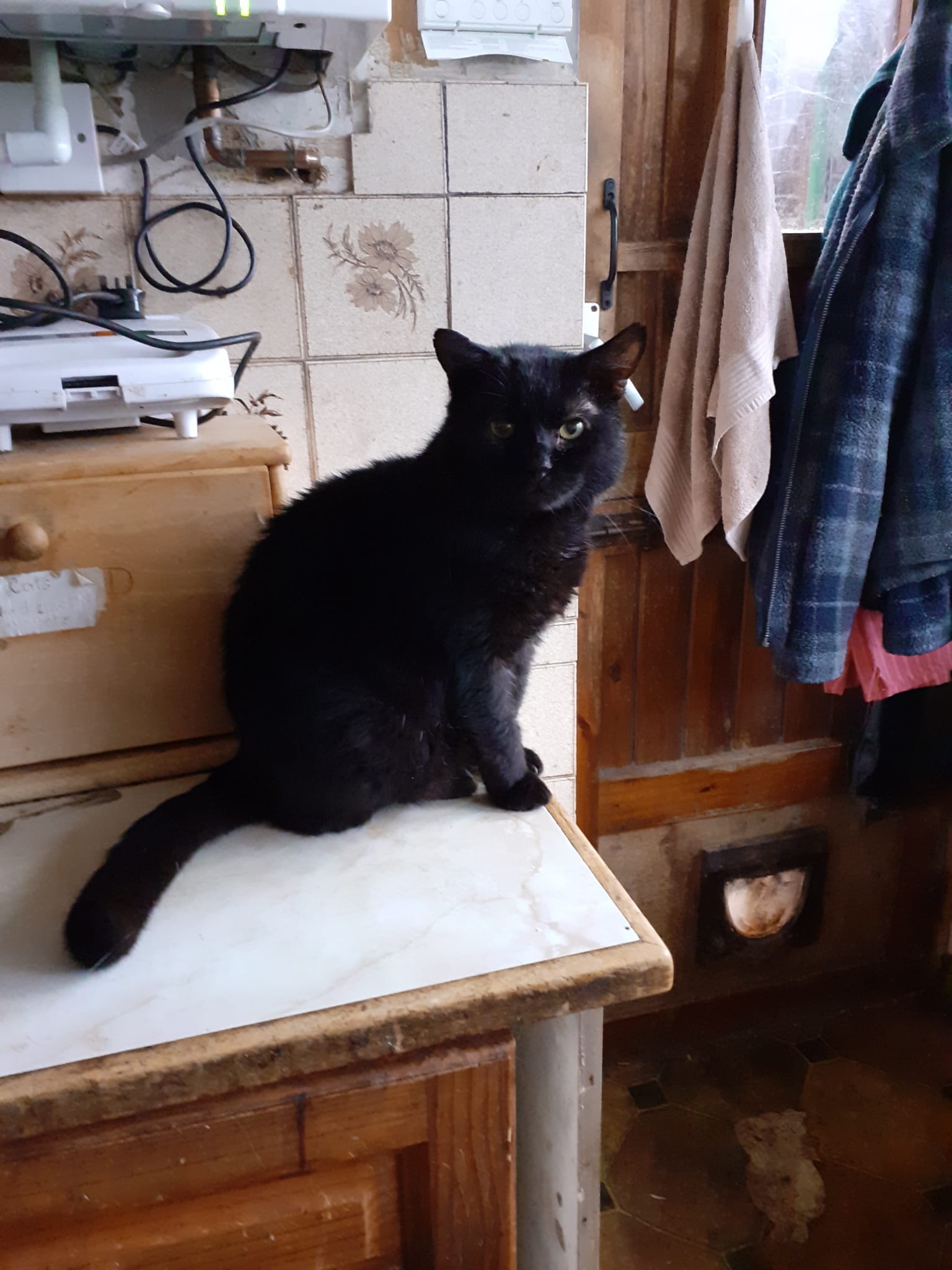 On a kitchen worksurface