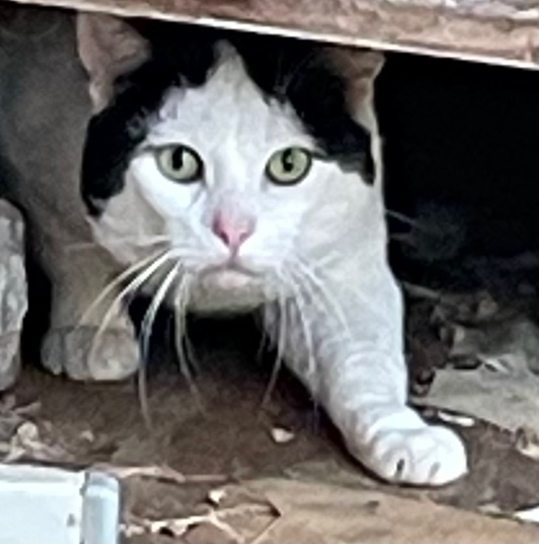 Davy caught sneaking around