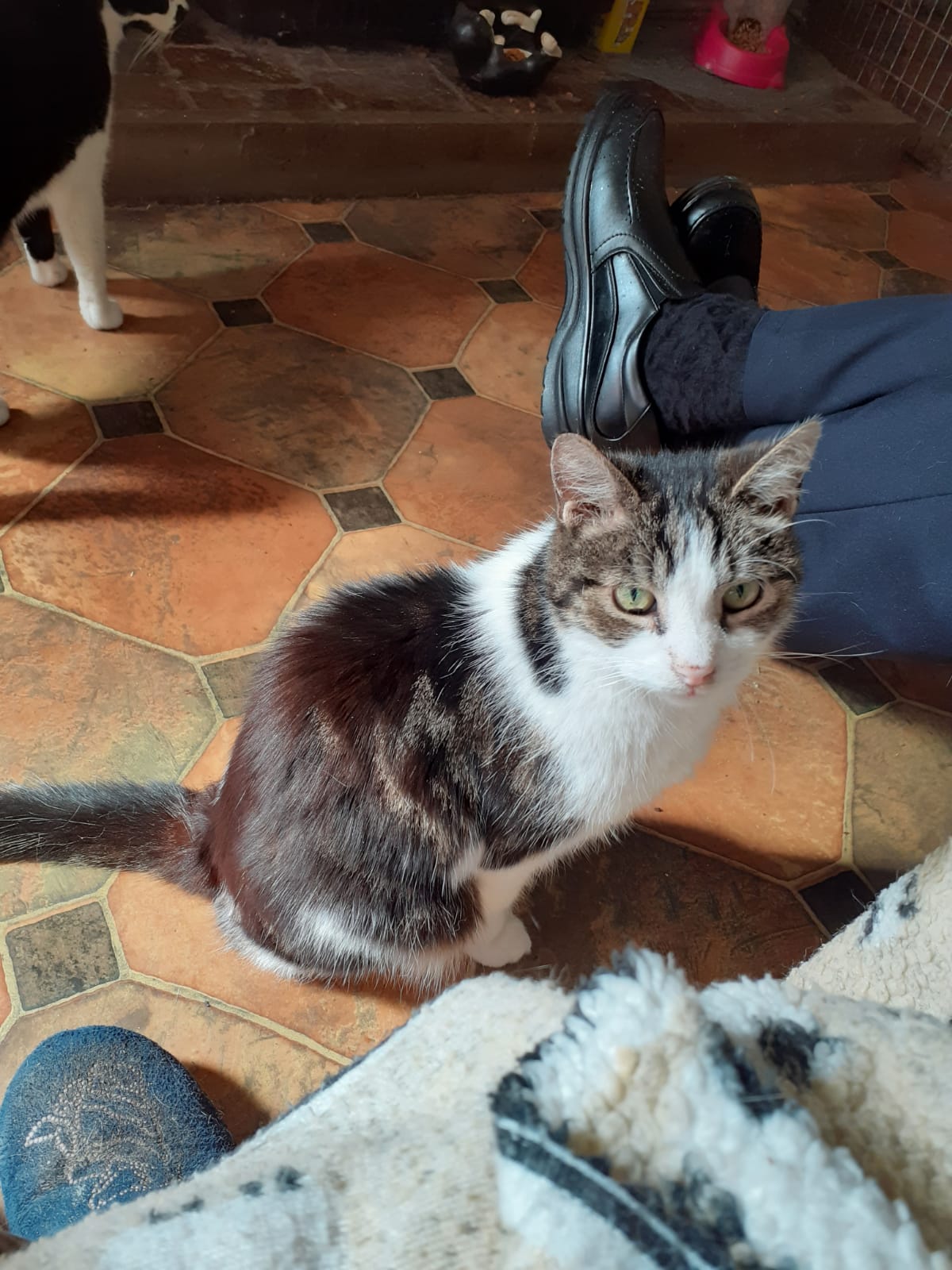 Max sat on the floor