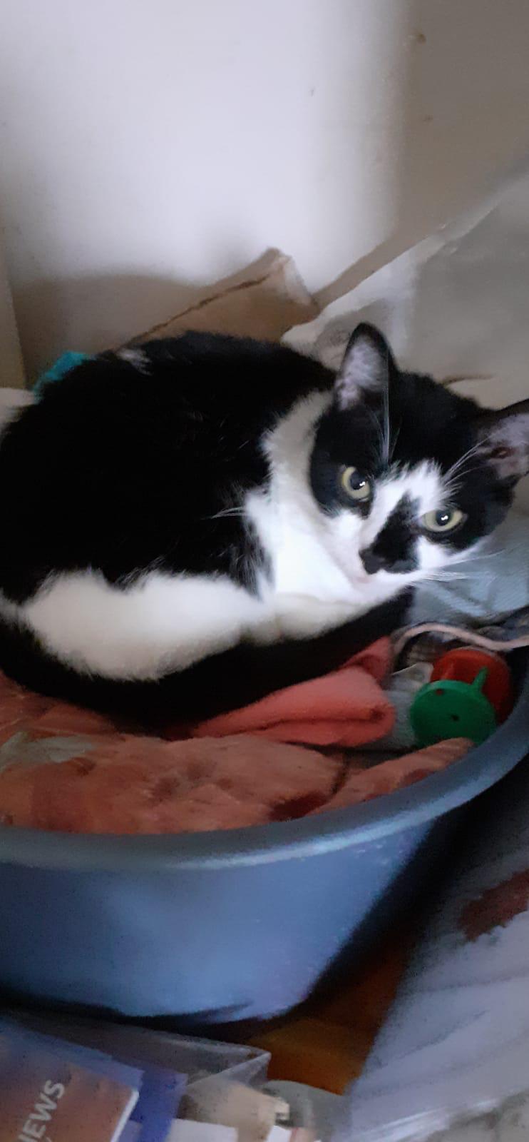 Oozo in his favourite spot again