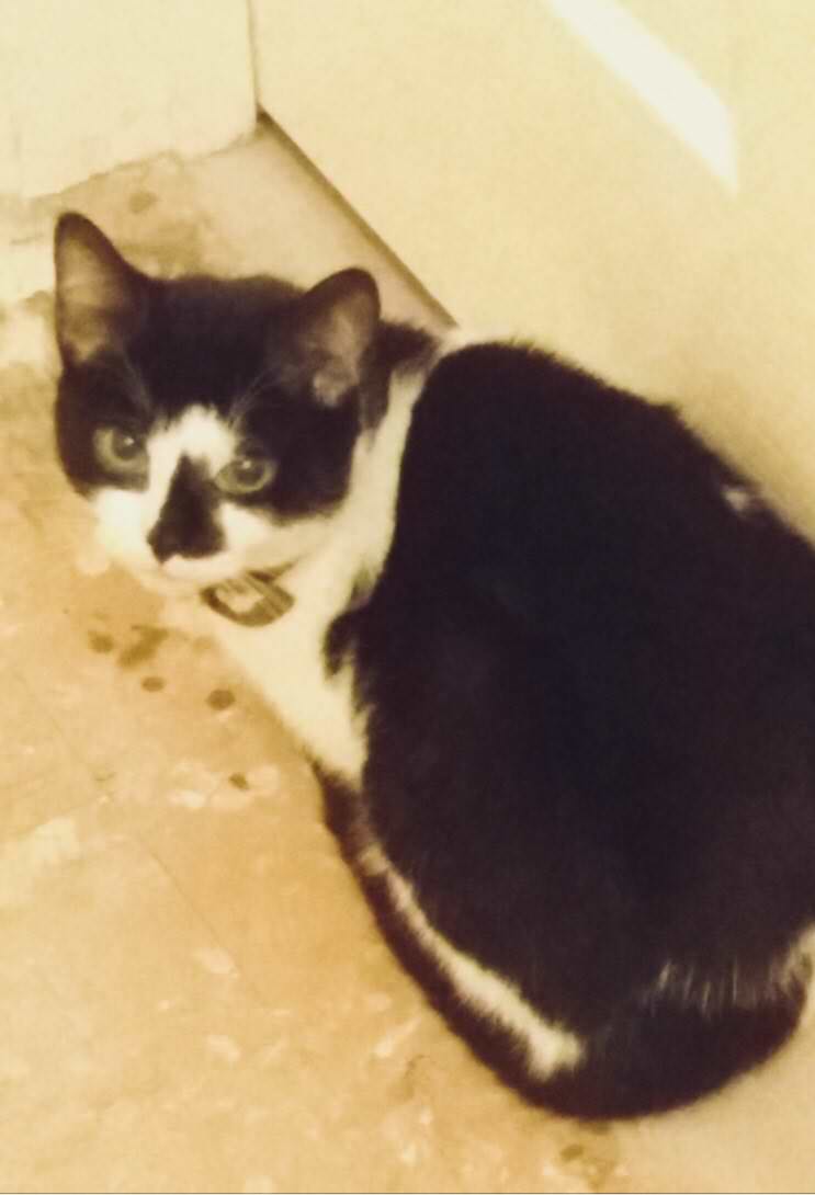 A younger Oozo with big cute eyes