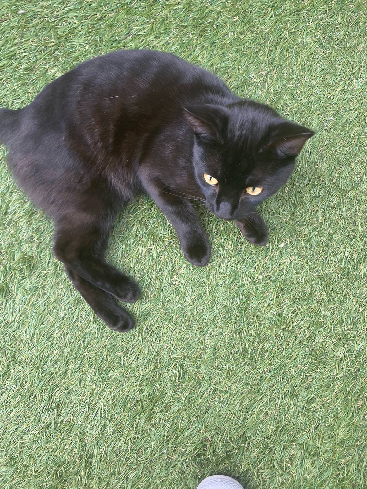 Tom lying down outside