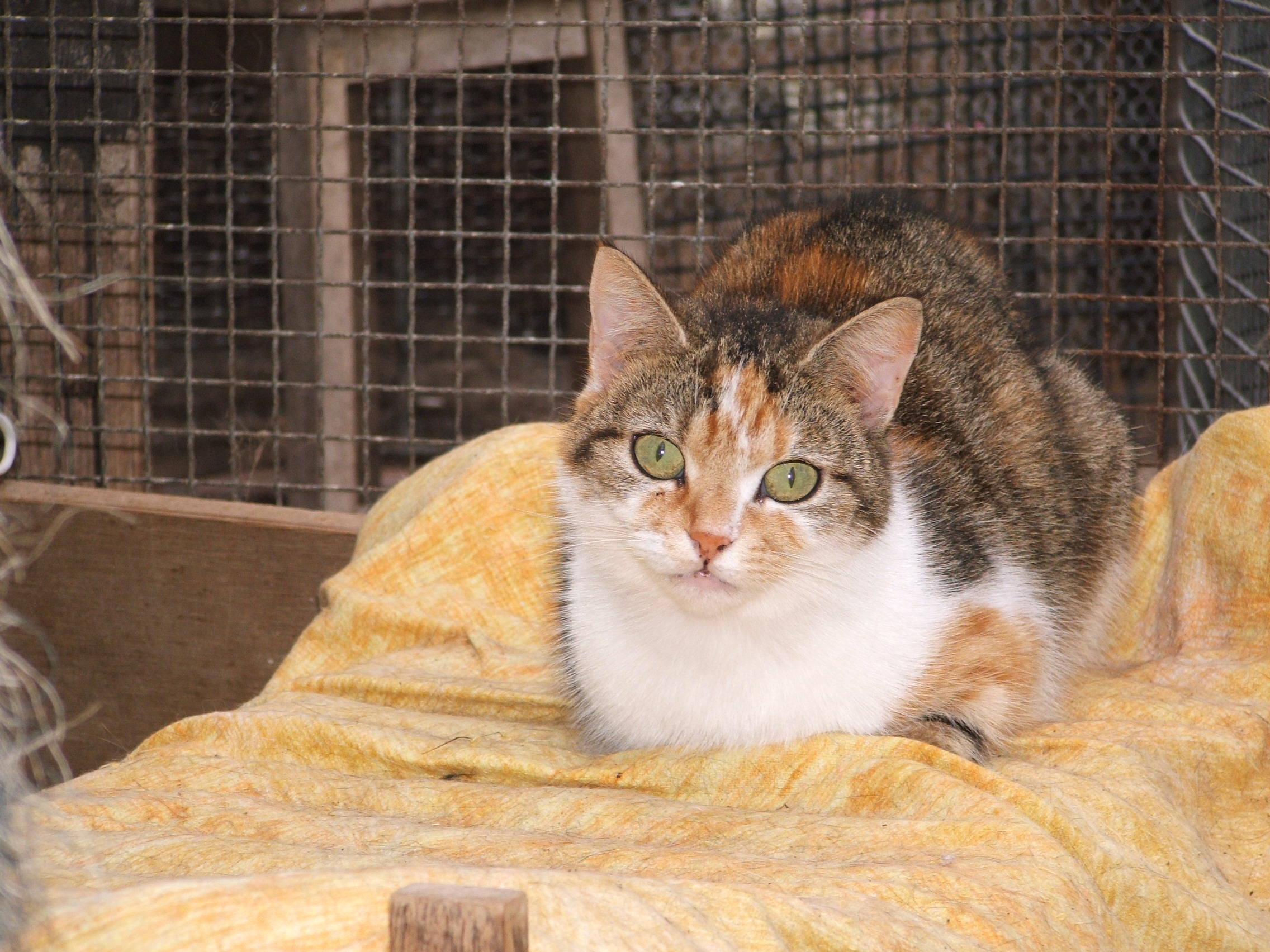 Twix appearing a little alarmed
